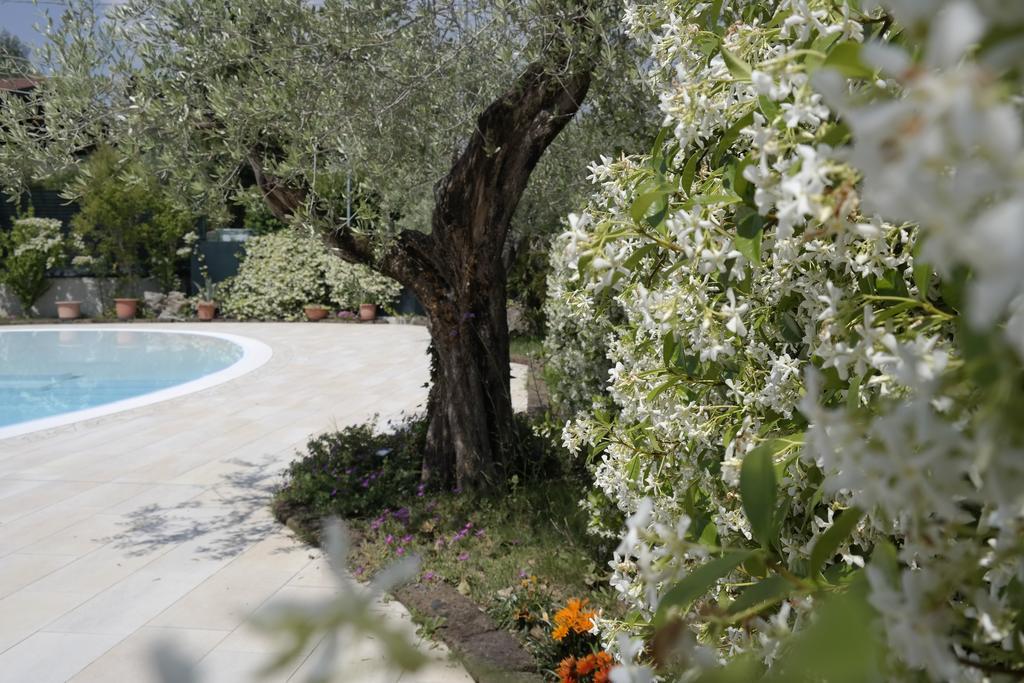 Campeggio Delle Rose Moniga del Garda Εξωτερικό φωτογραφία